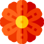 Gerbera icon 64x64