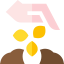 Seeds icon 64x64