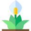 Peace lily icon 64x64