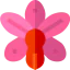 Orchid icon 64x64