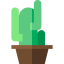 Cactus icon 64x64