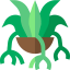 Spider plant 상 64x64