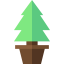 Pine icon 64x64