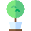 Myrtus icon 64x64