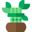 Bamboo icon 64x64