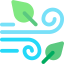 Windy icon 64x64
