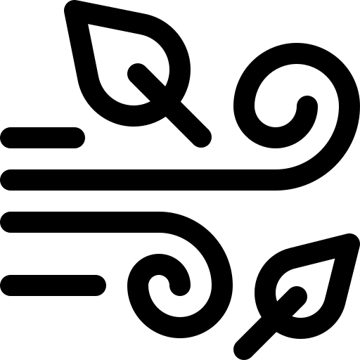 Windy Symbol