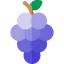 Berries icon 64x64