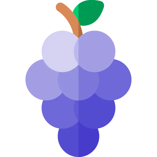 Berries icon