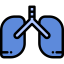 Lungs icon 64x64