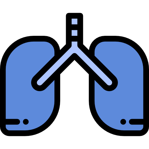 Lungs icon