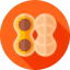 Nut icon 64x64