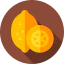 Lemon icon 64x64