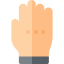 Vote icon 64x64