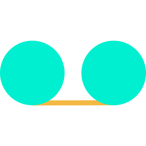 Record icon
