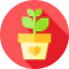 Growth icon 64x64
