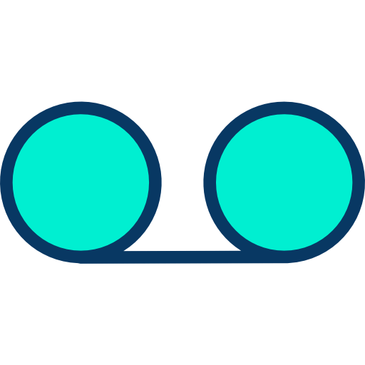 Record icon