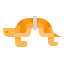 Turtle icon 64x64