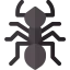 Ant icon 64x64
