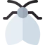 Moth icon 64x64