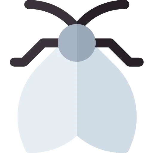 Moth Ikona