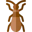 Bug icon 64x64