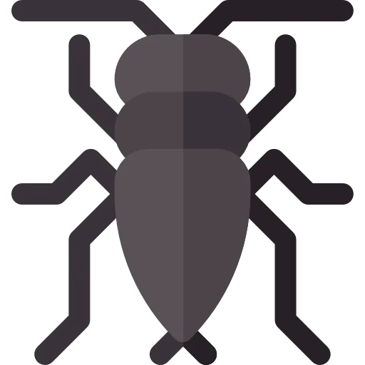 Bug icône