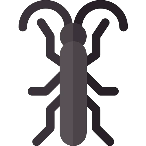 Bug icon