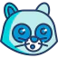 Raccoon icon 64x64