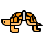 Turtle icon 64x64