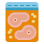 Fresh Ikona 64x64