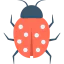 Ladybug 图标 64x64