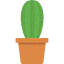 Cactus icon 64x64