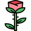 Rose ícono 64x64