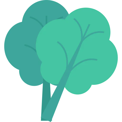 Oak icon
