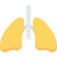 Lungs icon 64x64