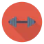 Dumbbells icon 64x64