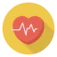 Cardiogram icon 64x64