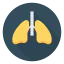 Lungs icon 64x64