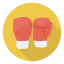 Boxing gloves アイコン 64x64