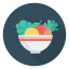 Salad icon 64x64