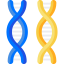Chromosome icon 64x64