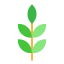Leaf icon 64x64