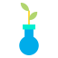 Sprout icon 64x64