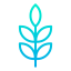 Leaf icon 64x64