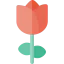 Rose icon 64x64