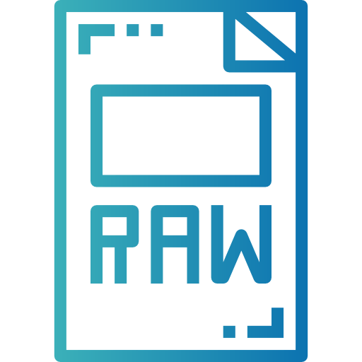 Raw file icon