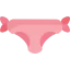 Swimsuit icon 64x64