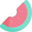 Watermelon icon 64x64