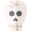 Skull icon 64x64